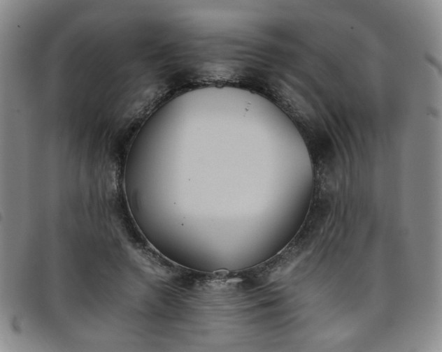 X0000098140546200804241716