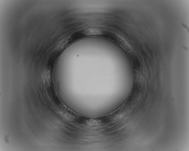 X0000098140549200804241716