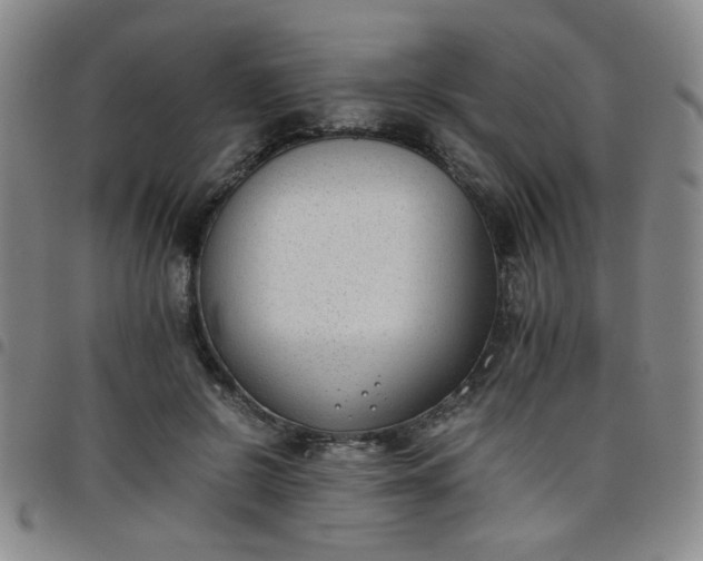 X0000098140550200804241716