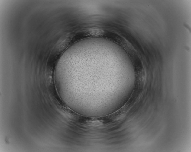 X0000098140553200804241716