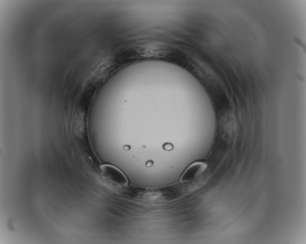X0000098140554200804241716