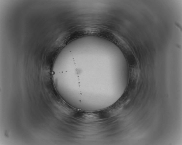 X0000098140557200804241716