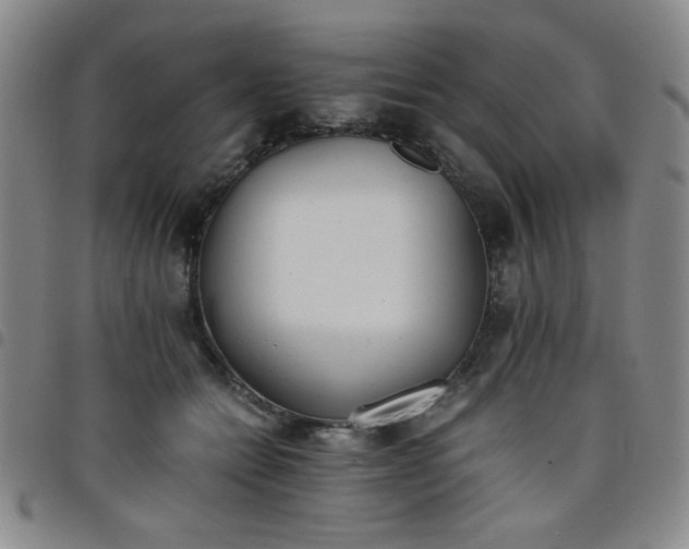 X0000098140558200804241717