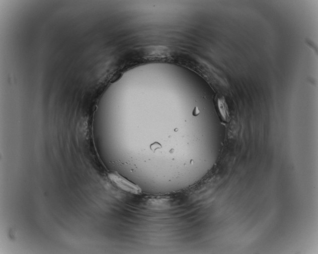 X0000098140560200804241717