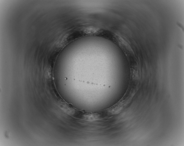 X0000098140561200804241717