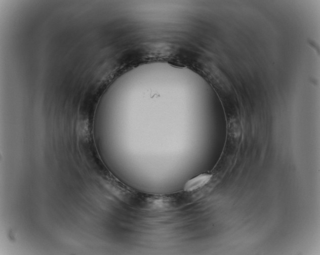 X0000098140564200804241717