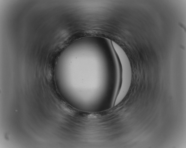 X0000098140566200804241717