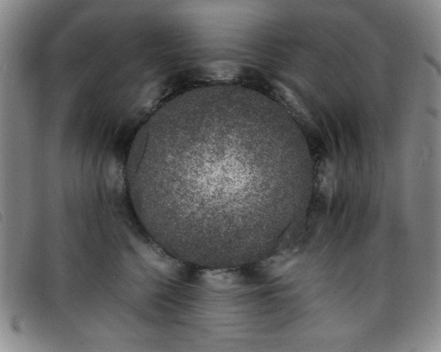 X0000098140568200804241717