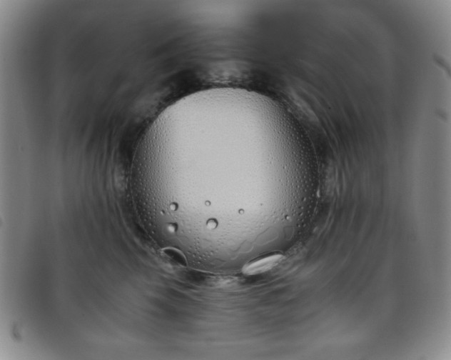 X0000098140569200804241717