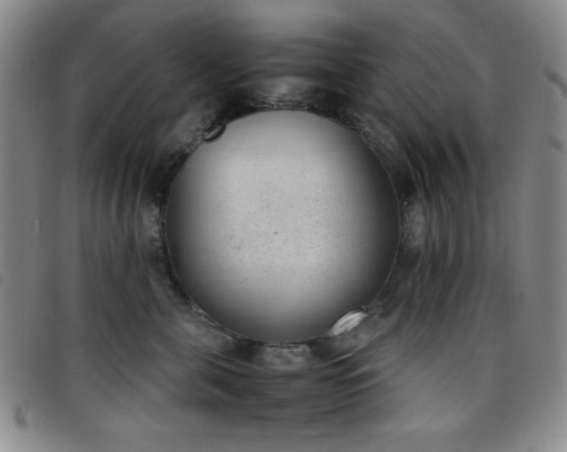 X0000098140571200804241717