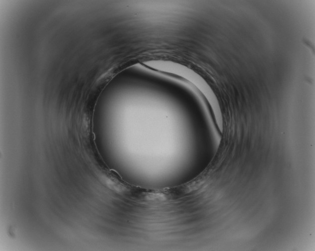 X0000098140572200804241717