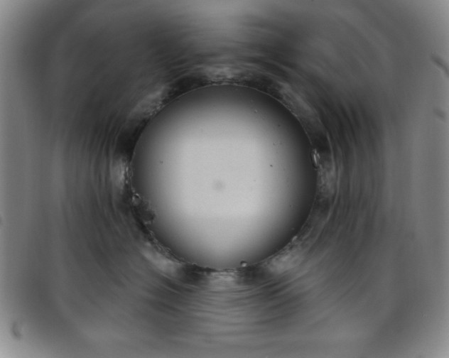 X0000098140574200804241717