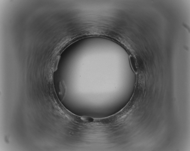 X0000098140577200804241716