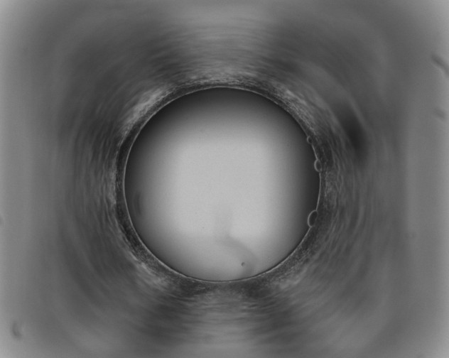 X0000098140578200804241716