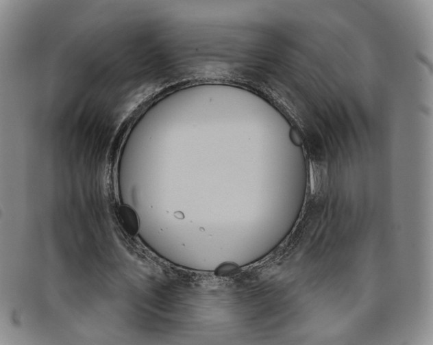 X0000098140579200804241716