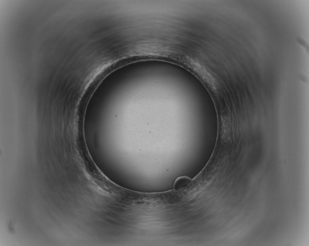 X0000098140580200804241716