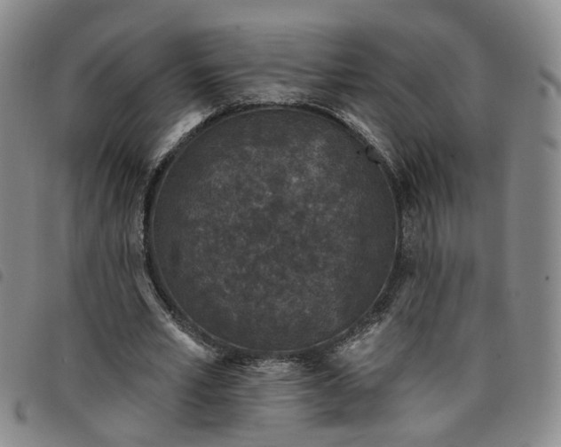 X0000098140581200804241716