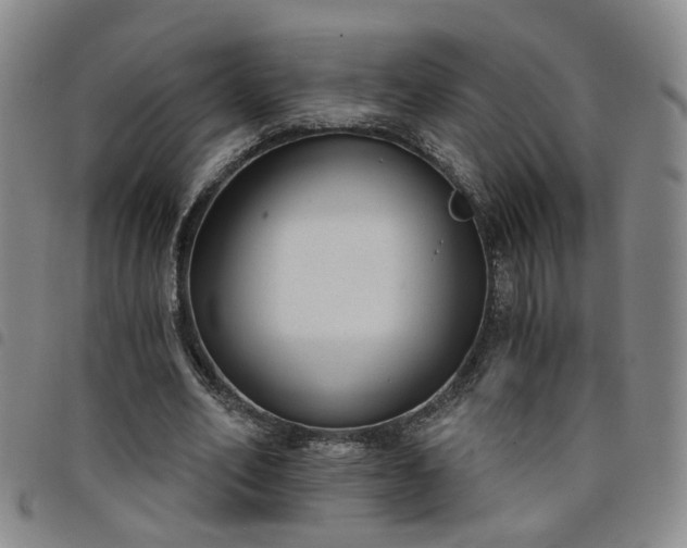 X0000098140582200804241716