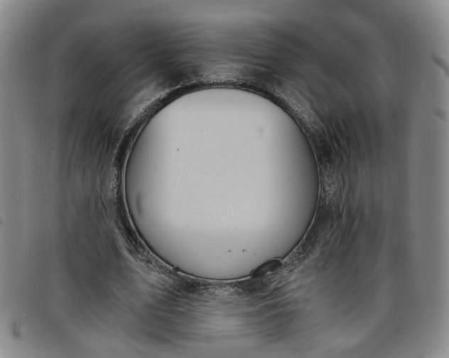 X0000098140583200804241716