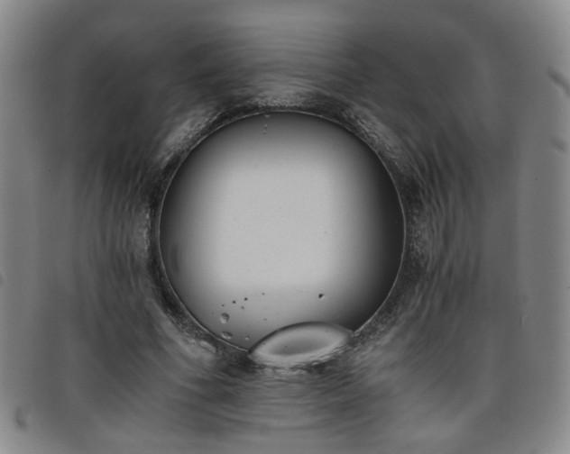 X0000098140586200804241716