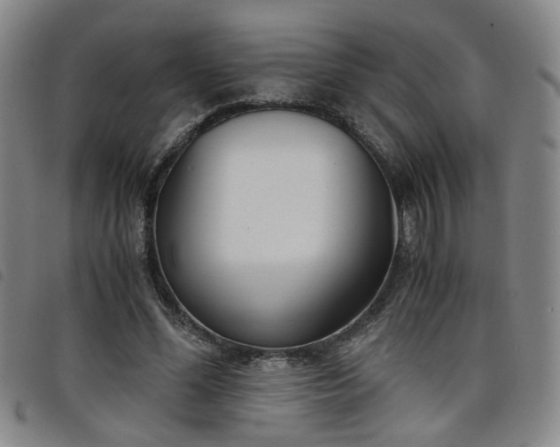 X0000098140588200804241716