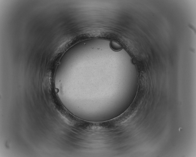 X0000098140590200804241716