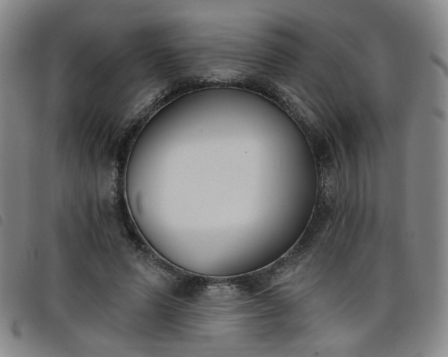 X0000098140591200804241716