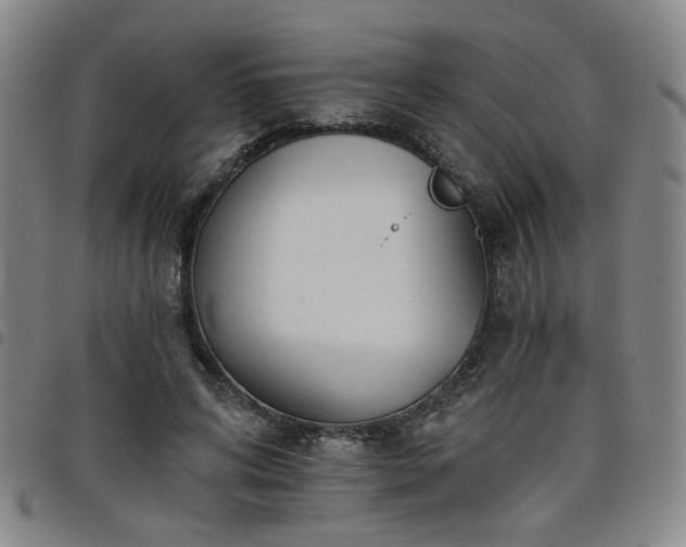 X0000098140592200804241716