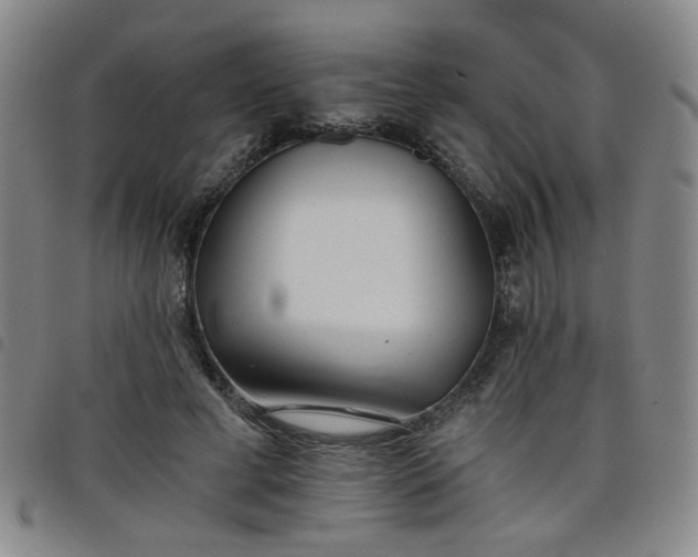 X0000098140593200804241716
