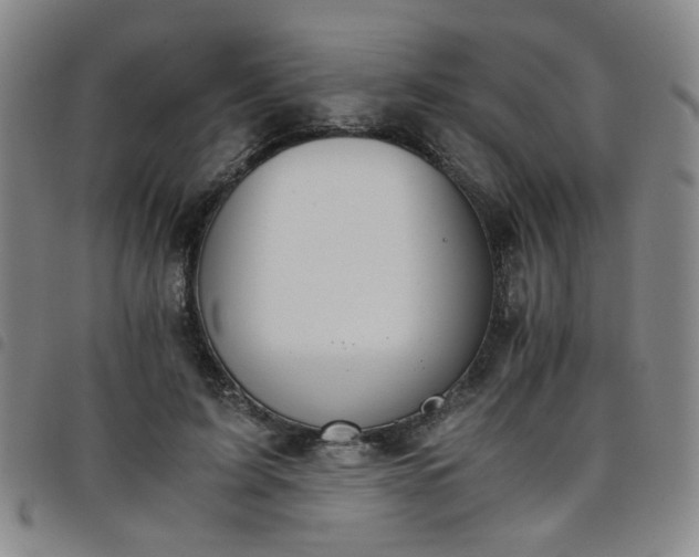 X0000098140595200804241716