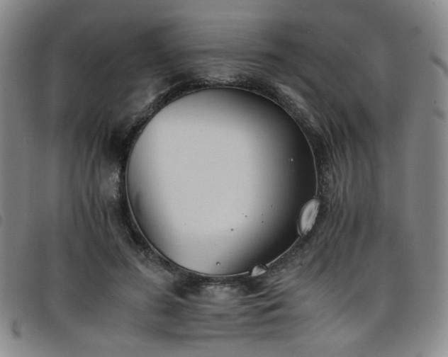 X0000098140596200804241716