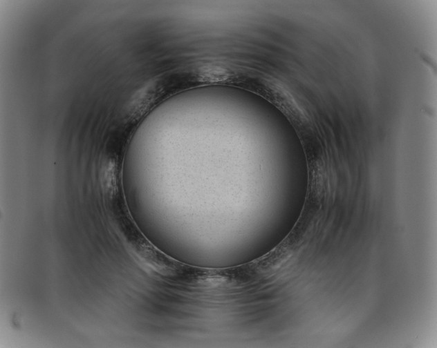 X0000098140598200804241716