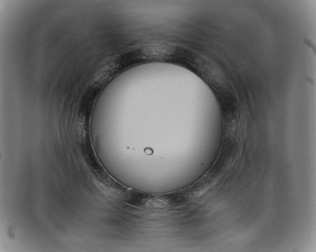 X0000098140599200804241716