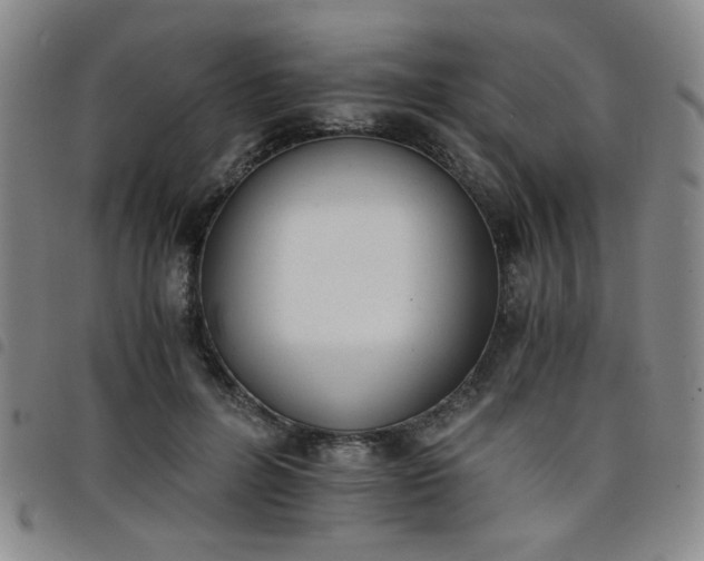 X0000098140600200804241716