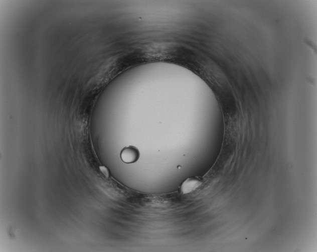 X0000098140601200804241716