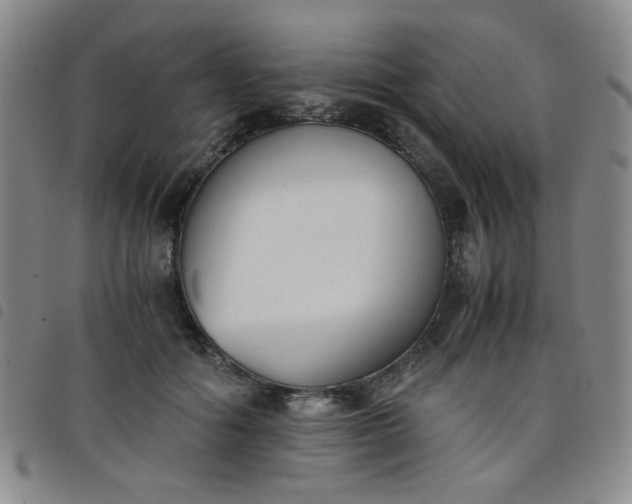 X0000098140602200804241716