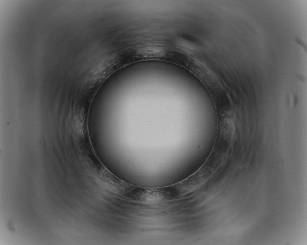 X0000098140604200804241716