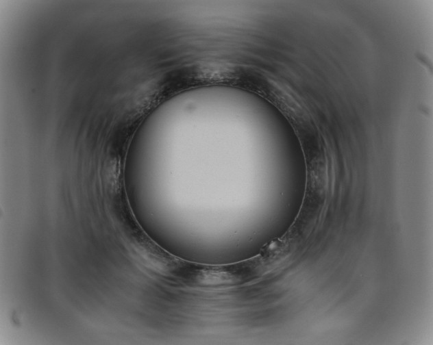 X0000098140605200804241716