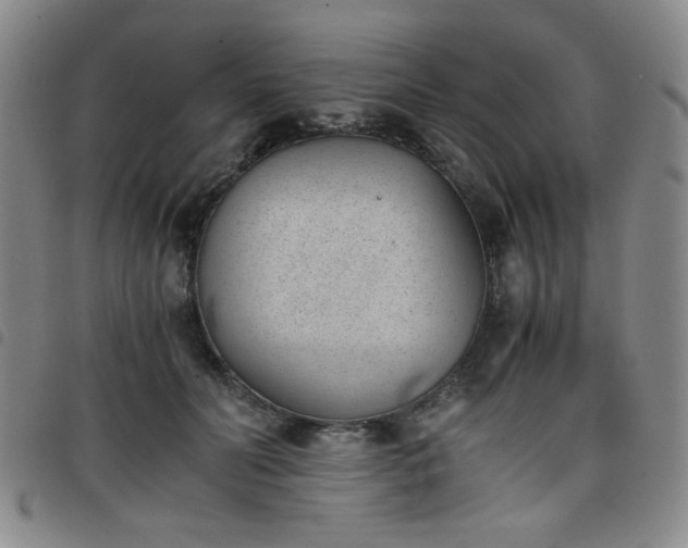 X0000098140606200804241716