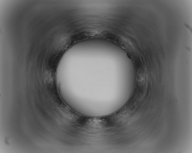 X0000098140607200804241716