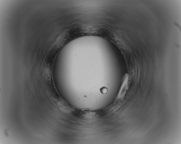 X0000098140609200804241716