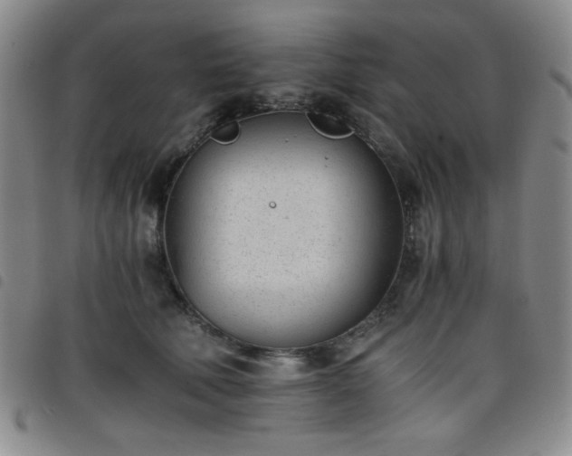 X0000098140610200804241716