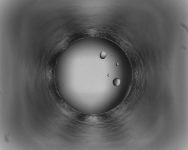 X0000098140611200804241716