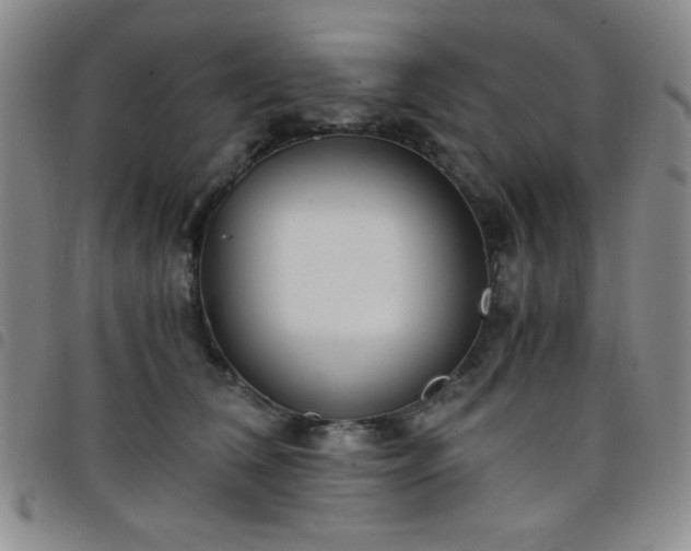 X0000098140612200804241716