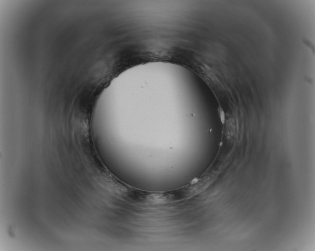 X0000098140613200804241716