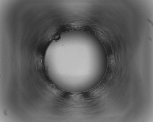 X0000098140615200804241716