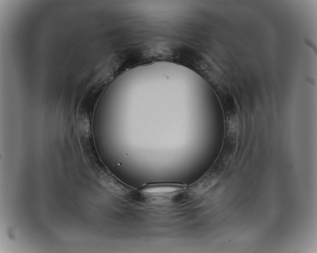 X0000098140617200804241715
