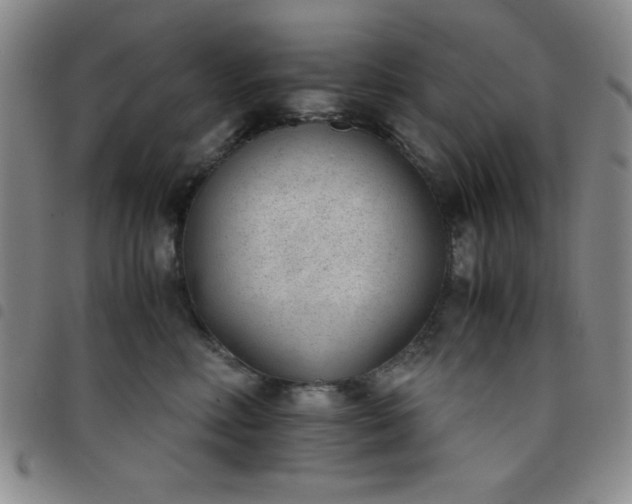 X0000098140618200804241715
