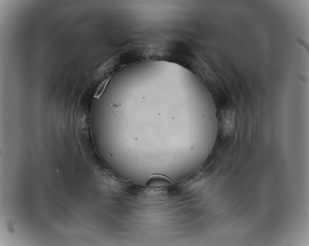 X0000098140619200804241715