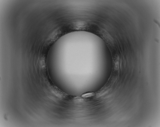 X0000098140620200804241715